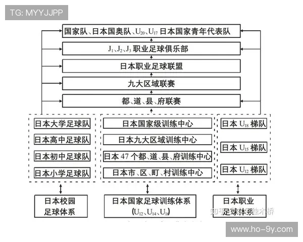 构建以小学校园青训为核心的系统化足球人才培养体系路径探索研究